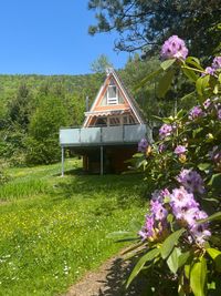 Haus mit Rhododendron